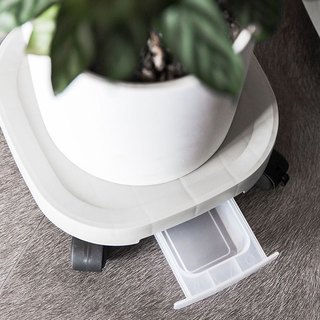 Đế lót chậu cây cảnh