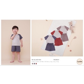 Cookie - Bộ cộc tay phối thân CK3255