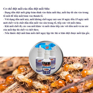 Dầu Diệt Mối tận gốc Sifa