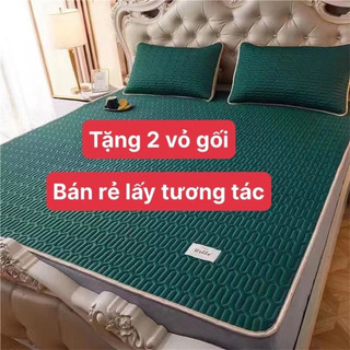 Chiều Điều Hoà Cao Su Non ⚡FREE SHIP⚡ Chiếu Điều Hoà Latex Hàng Loại 1 (Tặng Kèm 2 vỏ gối)