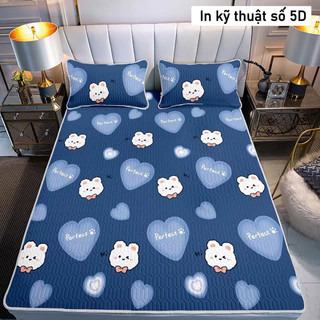 Chiếu điều hòa cao su non 3D latex thái lan loại 1 cao cấp - mát lạnh, êm mát