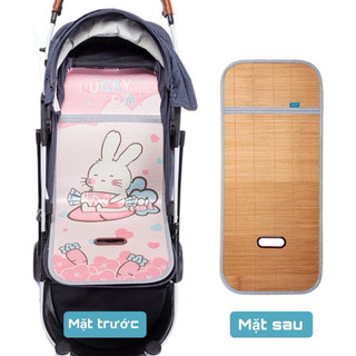 CHIẾU CÓI XE ĐẨY 5 LỚP THAN HOẠT TÍNH