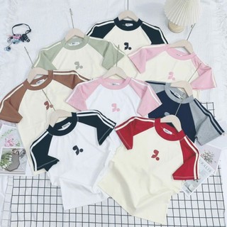 Áo Thun Baby Tee Phối Màu In Chấm Phẩy Borip Loại 1 Co Dãn 4 Chiều