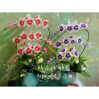 Thành phẩm hoa pha lê hoàn chỉnh