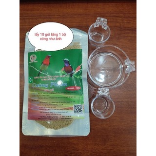 Cám chim hút mật cường phạm