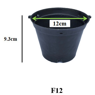 Chậu nhựa trồng lan số 1 đường kính 12cm cao 10cm