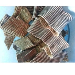 Vỏ đỗ trọng bắc, đỗ trọng rừng phơi khô