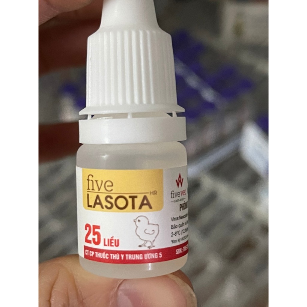 Vaccin Lasota/ Lasota chịu nhiệt liều 25 con dùng cho gà, chim