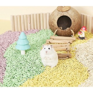 tổ gáo dừa (nhà dừa) kèm thang leo cho hamster / sóc / chim/ ...
