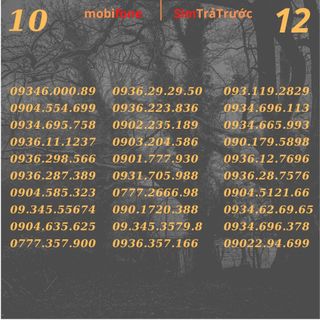 Lis 10. Sim mobifone số đẹp, đầu 07 đuôi phát lộc ,số rẻ đẹp, dễ nhớ,đăng ký các gói cước siêu ưu đãi.