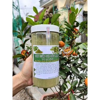 Bột Tía Tô ♥️ Bột Diếp Cá ♥️ Bột Rau Má _ Đà Lạt Farm giúp giảm nám sạm dưỡng trắng da  500gr