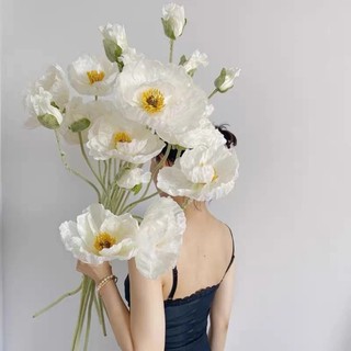  Chùm Hoa Anh Túc Giả - Hoa Poppy Giả Trang Trí Nội Thất Decor Phòng Khách Quán Cafe 