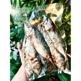 MẮM CÁ BẠC MÁ BÌNH ĐỊNH 500G (nguyên con)