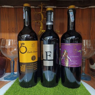 Vỏ chai rượu vang các loại xuất xứ Pháp mới 99% trưng bày decor cực đẹp (chai rỗng) (tặng kèm nút)