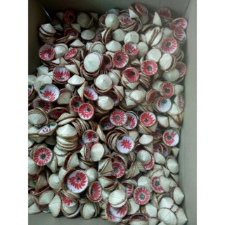 Nón Lá Size 4cm (combo gồm 10 nón)