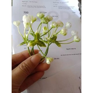 100g cỏ bi cụp trang trí