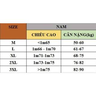 Áo polo VS  logo basic cao cấp Áo polo VS mới nhất 2024 [HK14]