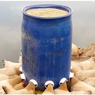 Máng Ăn Cho Gia Cầm,Máng Uống Tự Động Cho Gia Cầm.