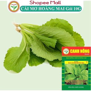 Hạt giống rau cải mơ hoàng - mai cải mơ lùn Cải Bẹ Xanh Mỡ chịu nhiệt, dễ nảy mầm, t