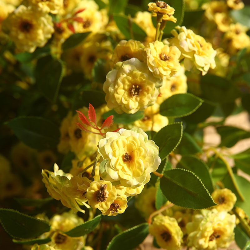 Cành Hoa Nhài hoa giả trang trí Decor không gian sống