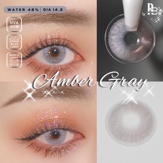 Kính Áp Tròng RUBYEYES Tặng Khay Gương Dụng Cụ BST BEARLENS Amber Gray