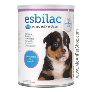 SỮA ESBILAC gói 21g / Gói chiết 40g