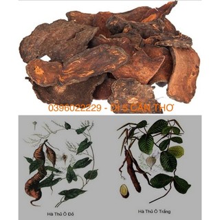 Hà thủ ô khô 1 ký (lát mỏng như hình)
