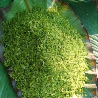 1kg cốm xanh khô, cốm xanh,cốm nấu chè,làm chả cốm