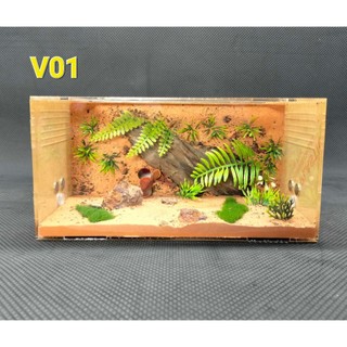 Hộp nuôi kiến - V01- Ant farm-Formicarium-Hộp nuôi kiến-tank kiến