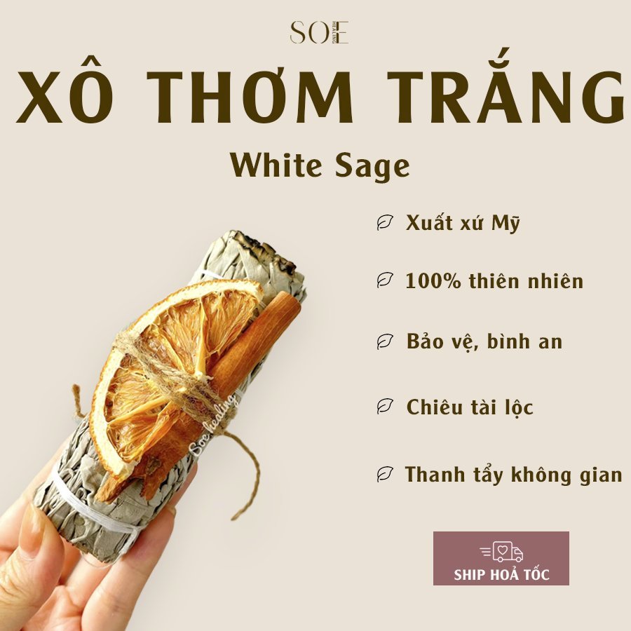 White Sage Xô thơm trắng thanh tẩy thanh lọc không gian thanh tẩy năng lượng Thảo mộc xông nhà
