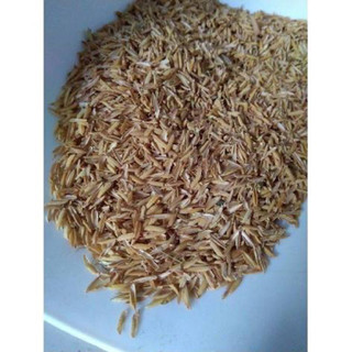 Trấu vo hop xop cho ga