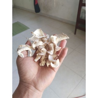 Bạc hà núi 1kg khô