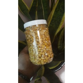 BẮP MỸ SẤY LẠNH