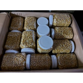 BẮP MỸ SẤY LẠNH