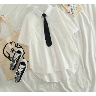 Áo sơ mi kèm cà vạt tay lửng