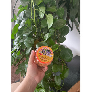 Muối Chấm Chẩm Chéo