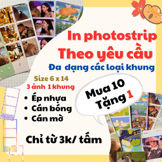 In ảnh Photostrip theo yêu cầu. Đa dạng khung