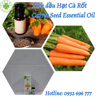 Tinh dầu hạt cà rốt - carrot seed essential oil - 10ml/50ml/100ml