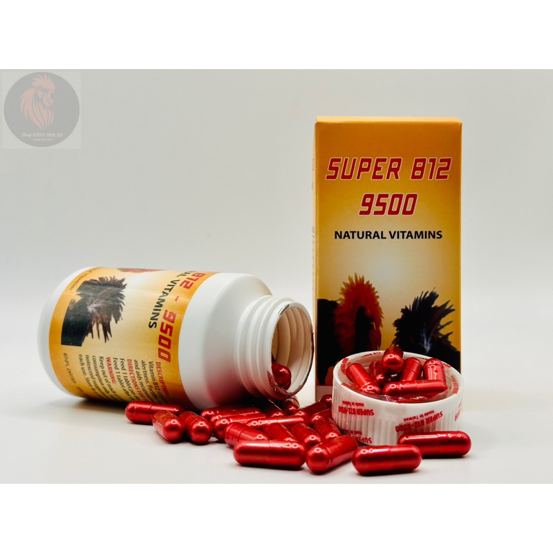 _𝐒𝐔𝐏𝐄𝐑 𝐁𝟏𝟐 - 𝟗𝟓𝟎𝟎 hũ 100viên_.[ nạp pin  bo khủng cho chiến kê ].