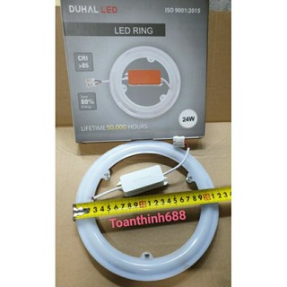 Bóng Led vòng DUHAL sáng Trắng