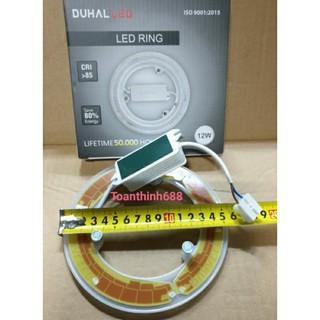 Bóng Led vòng DUHAL sáng Trắng