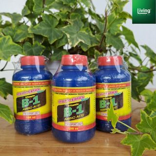 Phân bón Vitamin B1 cao cấp cho sen đá, xương rồng, cây kiểng - Vitamin B1 Thái Lan 100ml | Living Decor