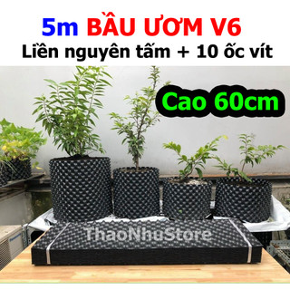 5m bầu ươm v6 cao 60cm vietgrow dày 0,6mm
