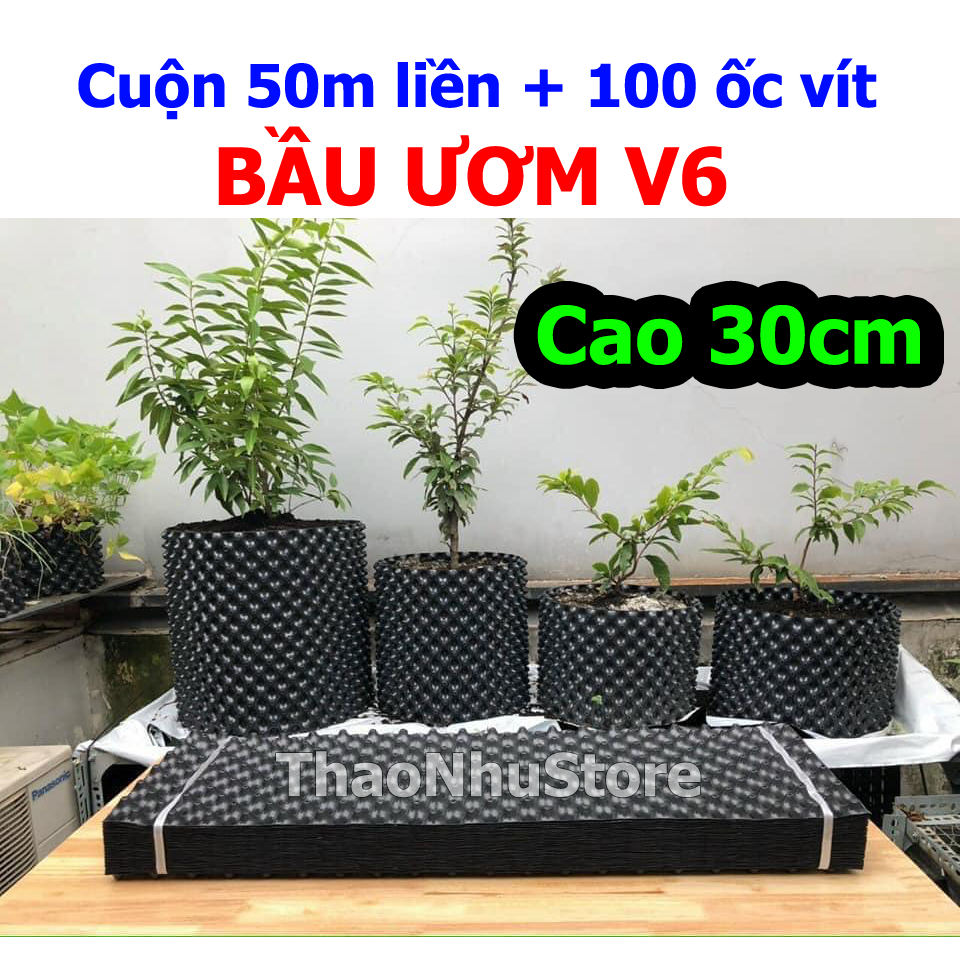 Cuộn 50m Bầu ươm V6 cao 30cm VietGrow (kèm 100 vít) dày 0,6mm