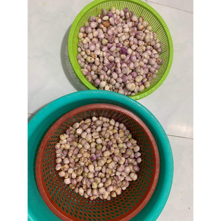 1kg hành phi nhà làm không bột