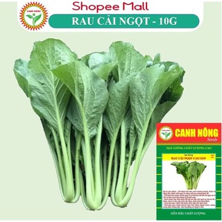 Hạt giống Cải Ngọt Cọng Xanh (10g~6000 hạt) giòn, ngọt, bẹ to, ít sâu bệnh, trồng quanh năm - Hạt giống CANH NÔNG
