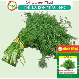 Hạt giống Thì Là Bốn Mùa sinh trưởng mạnh, thu hoạch nhiều lần, trồng quanh năm - Hạt giống CANH NÔNG