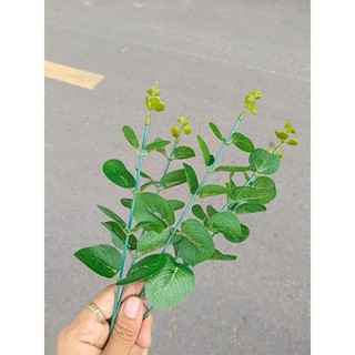 lẻ cành táo trang trí