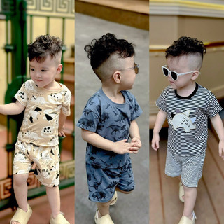 Set 3 bộ khủng long tone sáng bé trai