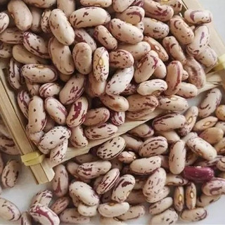 Đậu cúc Đà Lạt/ Đỗ cúc hữu cơ/ Đậu Pinto cho bé ăn dặm, nấu chè nấu sữa